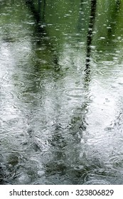 raindrops rippling in a puddle with trees reflection