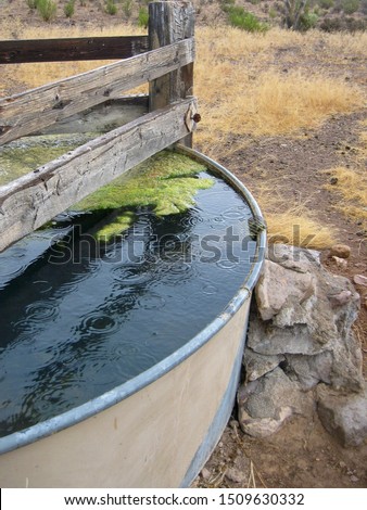 Raindrops splatter on the surface of a cattle guzzler. Located in rural Nevada.