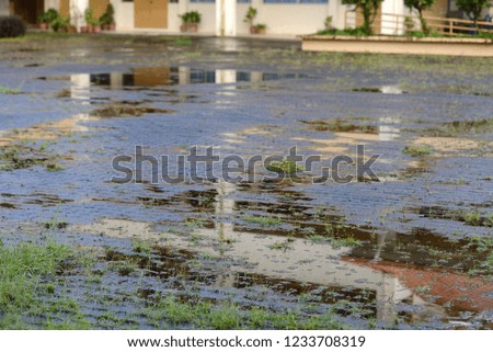 rainfall at the yard

