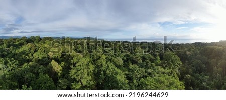 Rainforest canopy in costa rica tree tops shot by drone