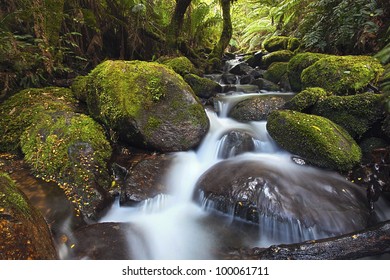 Rainforest Cascade, Yarra Ranges National Park, Australia.