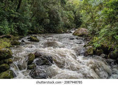 Rainforest Columbia Southern America Landscape.