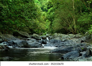 Rainforest Creek, Near Cairns, North Queensland, Australia