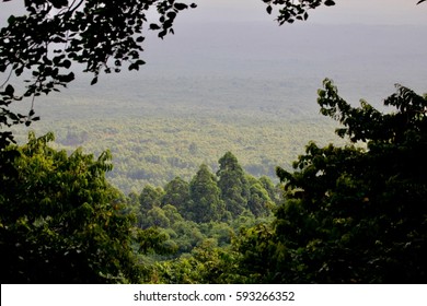 Rainforest DR Congo, Landscape, Africa