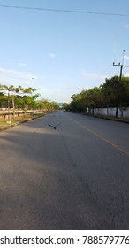 The rainforest environment of the Arun.