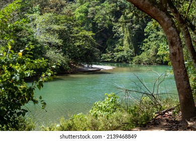 1,145 Panama ecosystem Images, Stock Photos & Vectors | Shutterstock