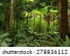 rainforest australia