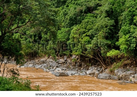 rainforest scenery along the Barron River near Cairns, Barron Gorge, Queensland Australia