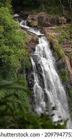 Rainforest Waterfall In South East Queensland