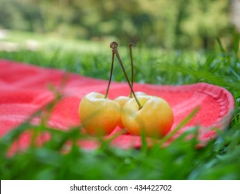 Rainier Cherry On Picnic Blanket