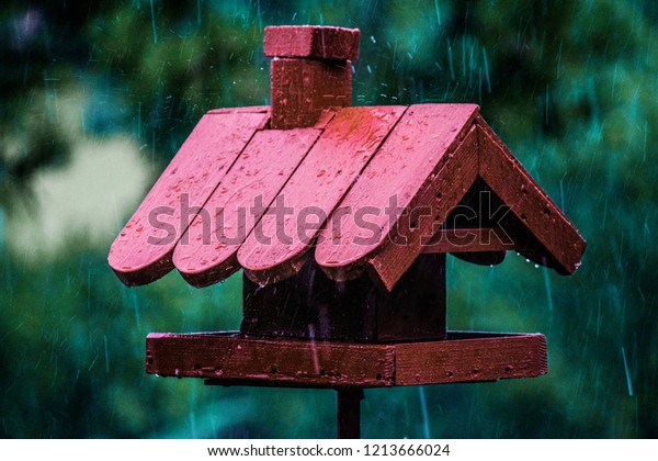 Raining Autumn Bird Feeder Rain Aviary Stock Image Download Now