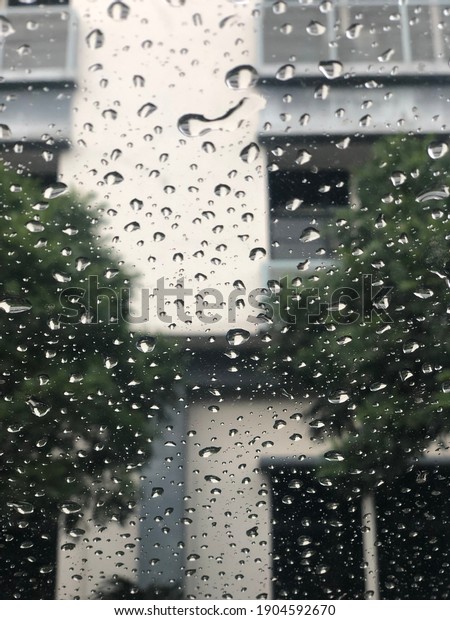 Raining in the car
photo