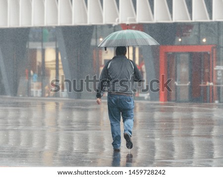 Similar – Under my umbrella Mensch