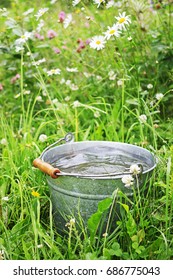 It is raining. Full bucket with rain water in the grass with flowers. - Shutterstock ID 686775043