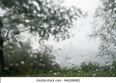 It's raining outside the window with green nature - Shutterstock ID 446268481