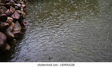                Raining at the Pond               