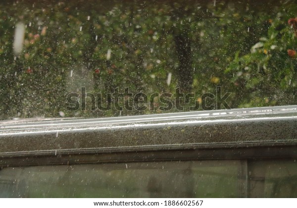 It\'s raining. Raindrops fall on the roof of a\
black car in the morning\
closeup.