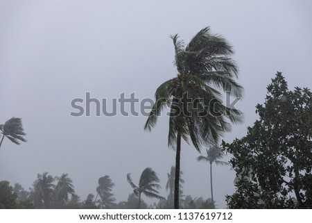Raining and strom