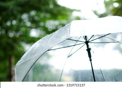 It’s raining, Women walk in the rain. Hand of women holding an umbrella. She feel sad, Sky have a drizzling and overcast all the time. Raining background, Umbrella background.
