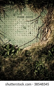 rainwater