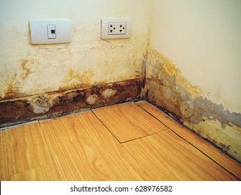 
Rainwater penetrates through the cracks of the wall, destroyed floor. Water leak and damaged the wall and laminate floor which is near the plug and the telephone outlet.