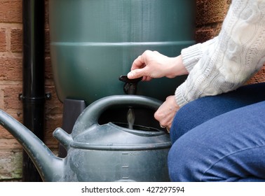 rainwater tank or water butt, woman filling watering can with water from the water butt tap.