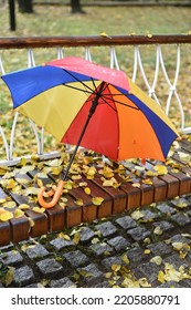 Rainy Autumn Day In The Park. A Bright Wet Umbrella On A Bench.