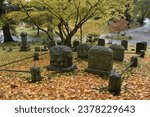 Rainy Autumn Day at Sleepy Hollow Cemetery, Historic New York