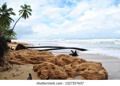 Rainy Beach Day At Terrenas, Dominican Republic
