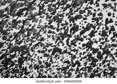 Rainy Black Drop Pattern Texture Background Stock Photo 1945420504 ...