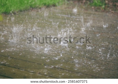 Similar – Image, Stock Photo car wash wet leaf foliage