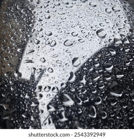 A rainy day is an equalizer