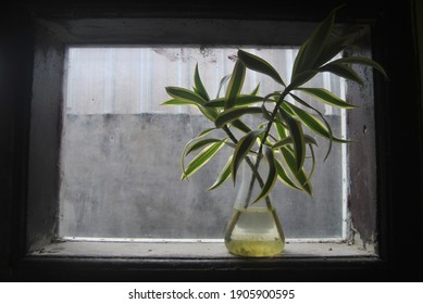 A Rainy Day Inside A House, We Are Looking From The Window.