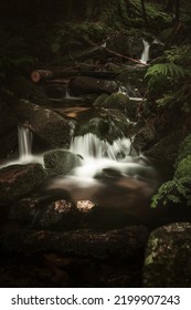 A Rainy Day In The Karkonosze National Park