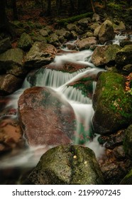 A Rainy Day In The Karkonosze National Park