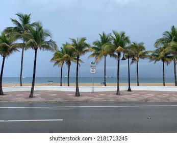 Rainy Day In Miami Beach