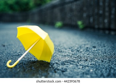 Rainy Day, Umbrella