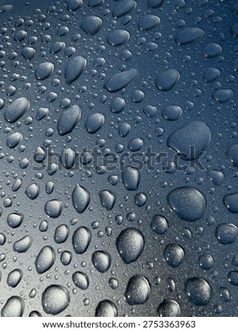 Rainy with an extra shine
