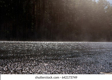 Rainy Road