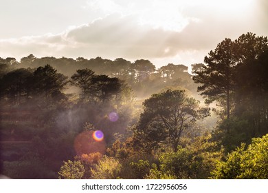 Rainy sunset over trees with the rays of the setting sun and clouds