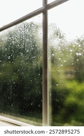 Rainy Views from the Window