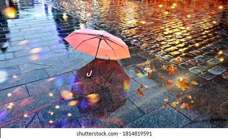 Rainy  Weather ,Autumn leaves falling  on road , pink umbrella on pavement city night light blurred at evening  - Shutterstock ID 1814819591