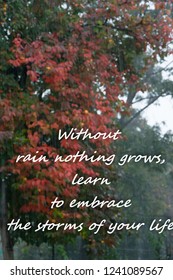 Rainy weather background with text - "Without rain nothing grows, learn to embrace the storms of your life", motivational concept - Shutterstock ID 1241089567