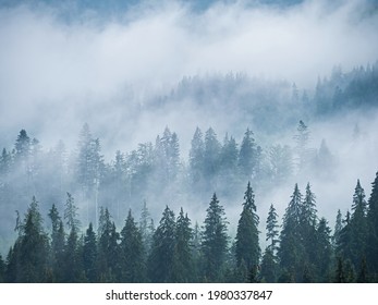 Rainy Weather Mountains Misty Fog Blowing Stock Photo 1980337847 ...