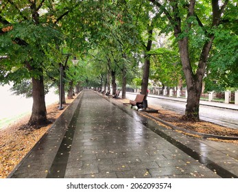 Rainy Weather,
Outdoor Park Road.