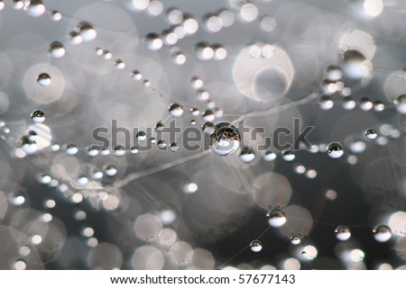 Similar – Image, Stock Photo fluid Water Drops of water