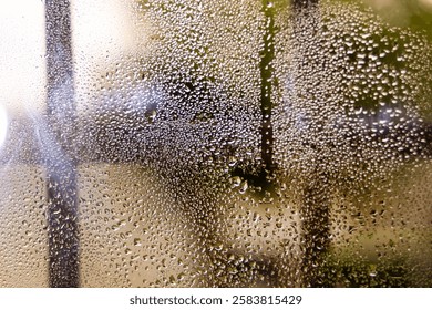 Rainy window, drops, rain, view from inside, window, glass, transparency, spraying, garden, bars