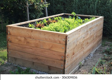 A Raised bed in a garden