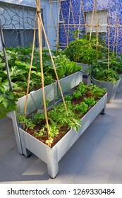 Raised Bed Orchard Urban Garden Metal Table