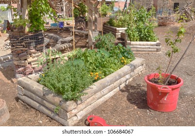 Raised Bed In Urban Environment Center